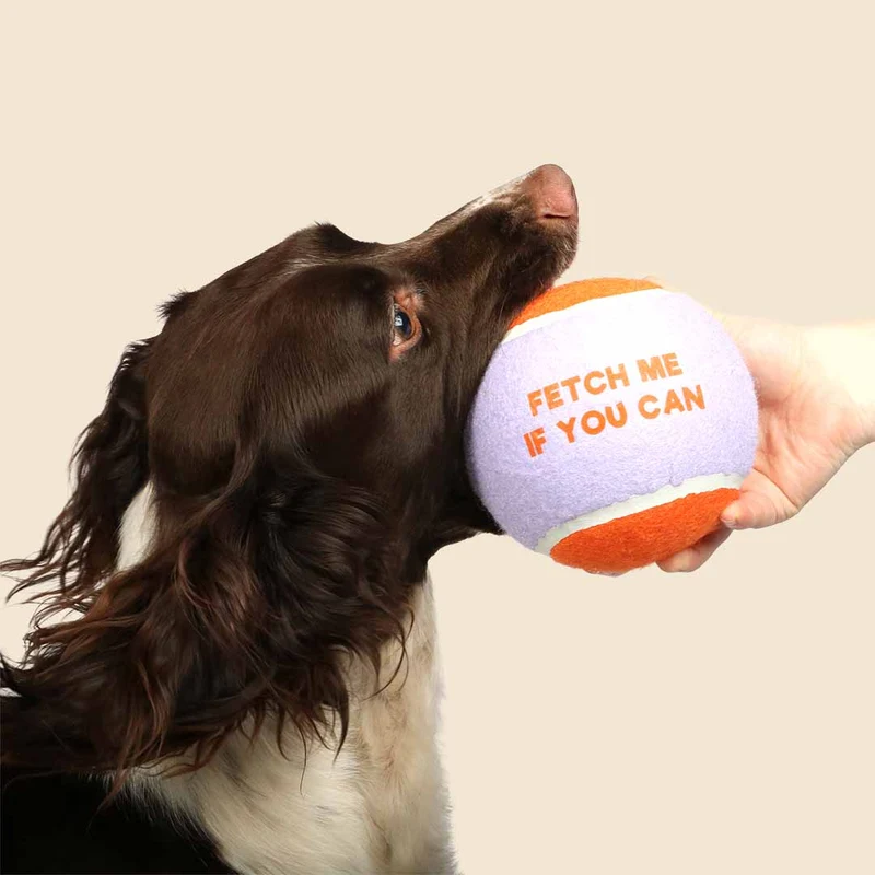 Ebi Coockoo Fetch Me XL Tennis Ball - Dog Catch & Fetch Toy - Purple/12.7cm