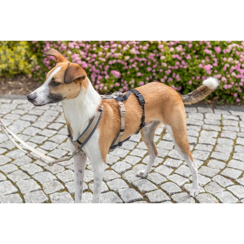 Trixie Panic Adapter Stay for Dog Harnesses - BLACK/L-XL