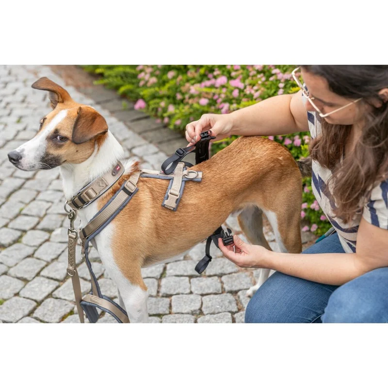 Trixie Panic Adapter Stay for Dog Harnesses - BLACK/L-XL