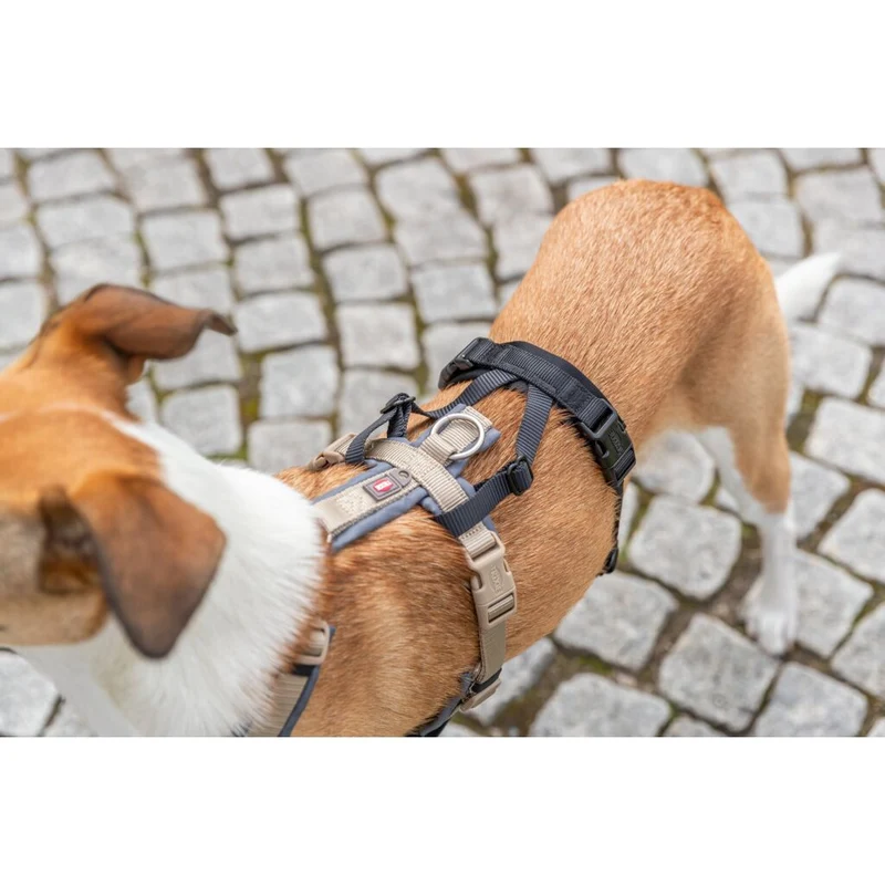 Trixie Panic Adapter Stay for Dog Harnesses - BLACK/M-L