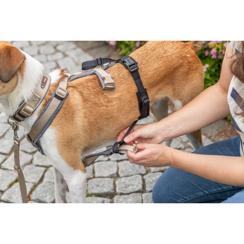 Trixie Panic Adapter Stay for Dog Harnesses - BLACK/M-L