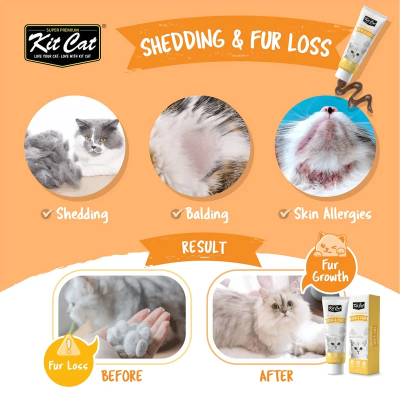 Kit Cat Daily Nutritional Supplement Gel Skin & Coat for Cats & Kittens 120G