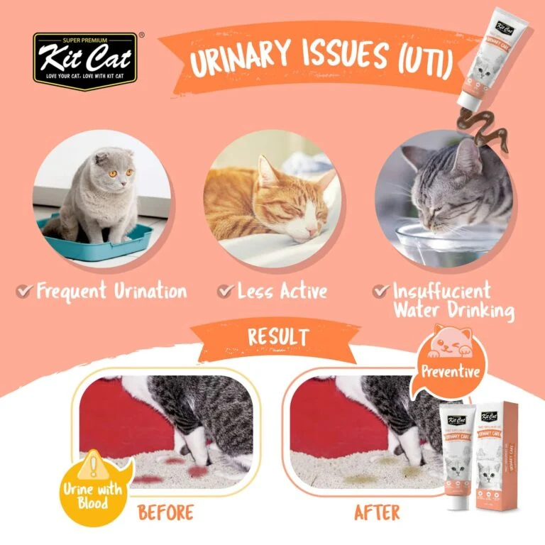 Kit Cat Daily Nutritional Supplement Gel Urinary Care for Cats & Kittens 120G