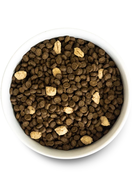 Open Farm RawMix Wild Ocean Recipe Dry Cat Food - 1KG