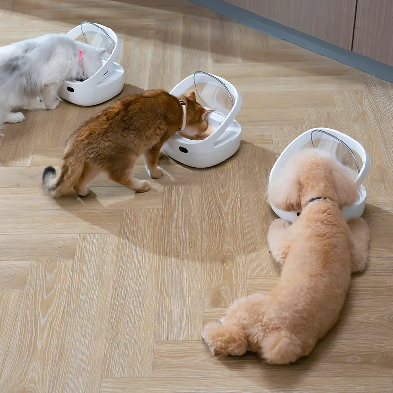 Petoneer NutriCare Cat Smart Feeder PF009