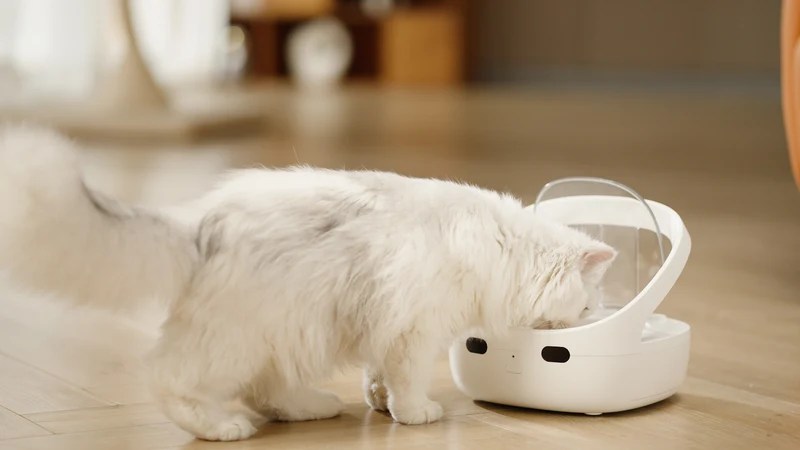 Petoneer NutriCare Cat Smart Feeder PF009