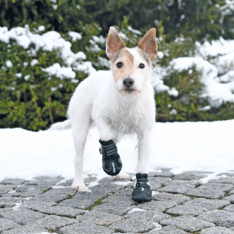 Trixie Walker Active Protective Boots 2pc-Set for Dogs