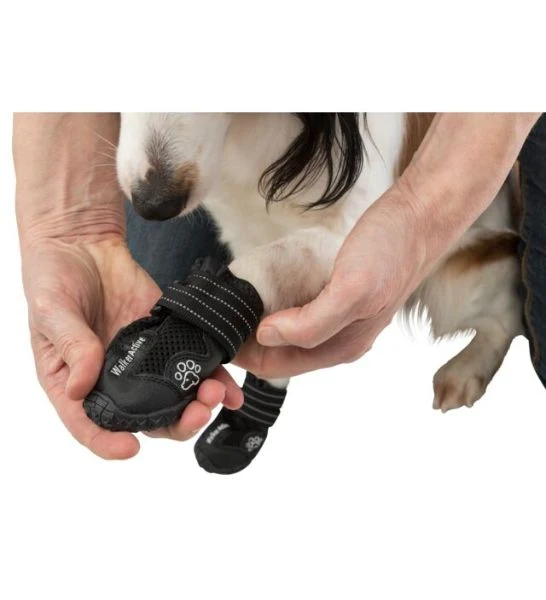 Trixie Walker Active Protective Boots 2pc-Set for Dogs