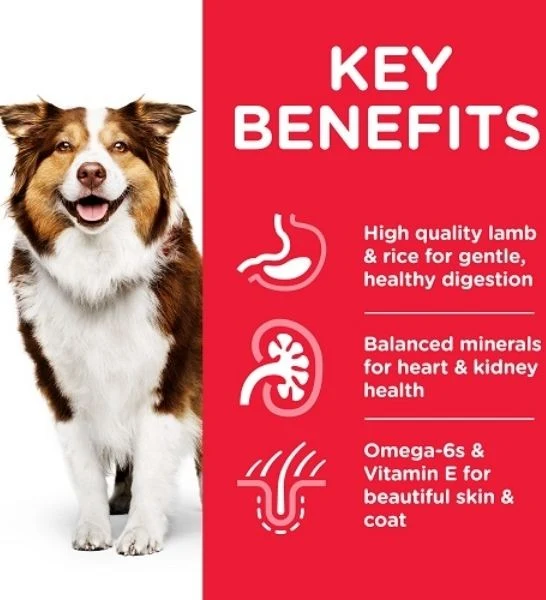 Hill's Science Plan Medium Mature Adult 7+ Dog Food with Chicken