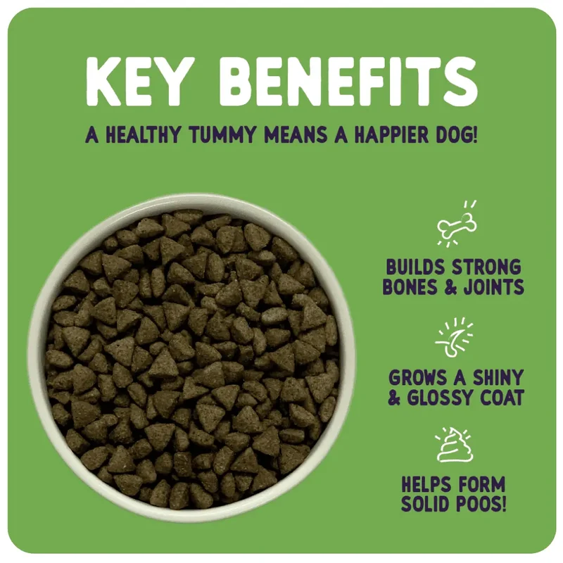 Burgess Sensitive Adult Dry Dog Food Turkey