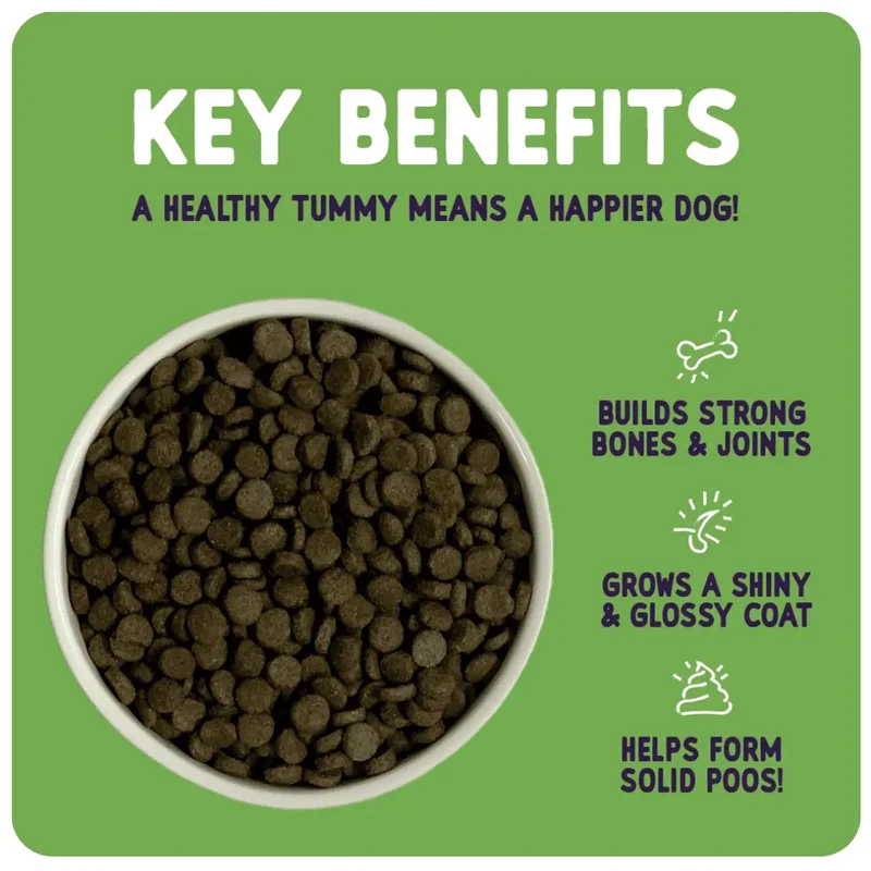 Burgess Sensitive Adult Dry Dog Food Lamb