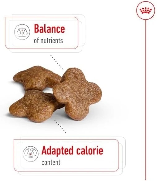 Royal Canin Mini Adult 8+ Dry Dog Food