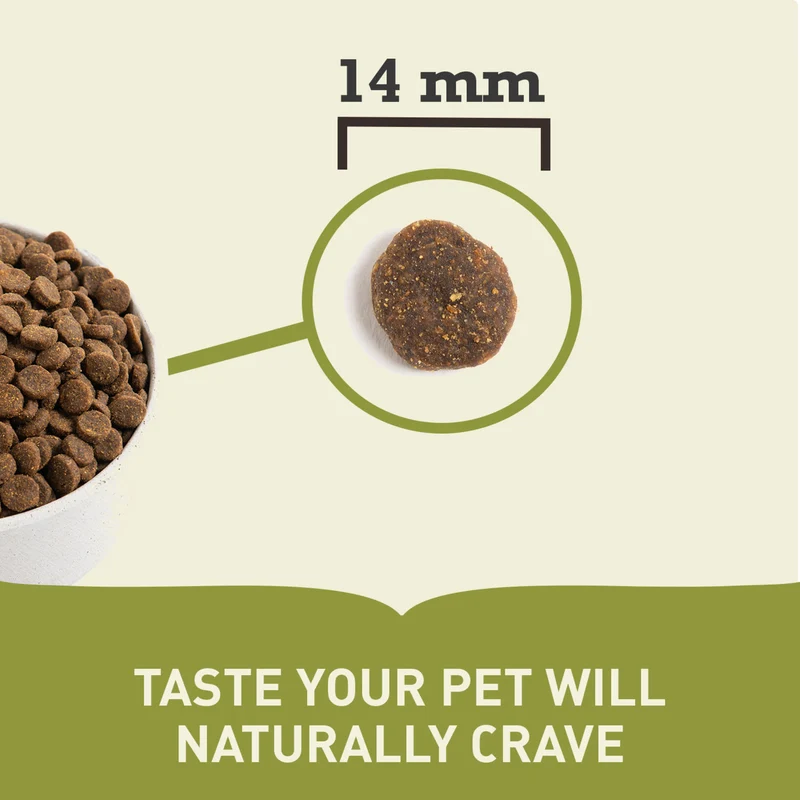 Acana Yorkshire Pork Grain-Free Dry Dog Food 2KG