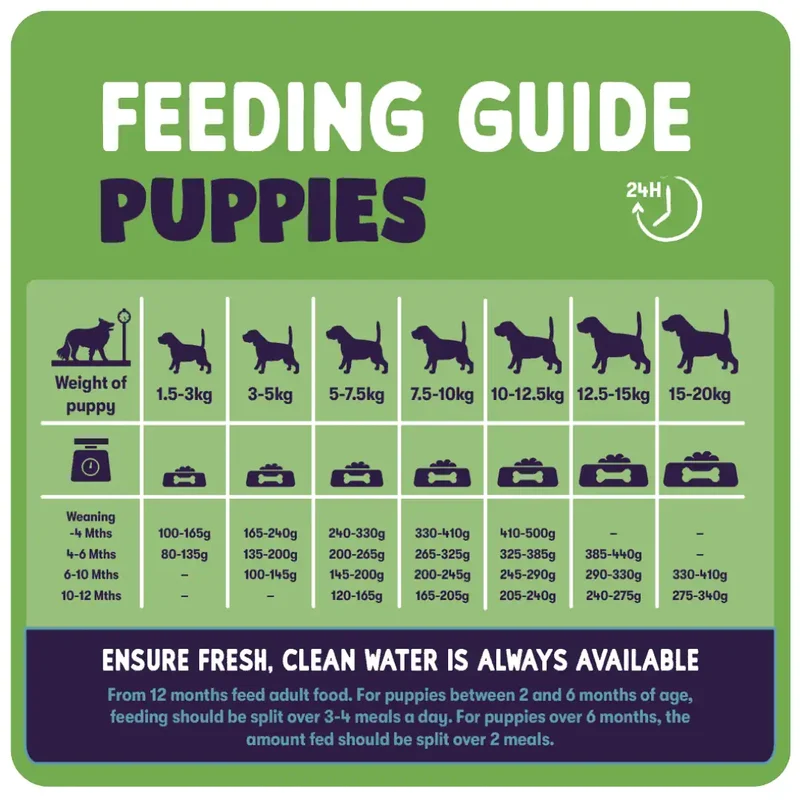 Burgess Sensitive Dry Puppy Food Turkey