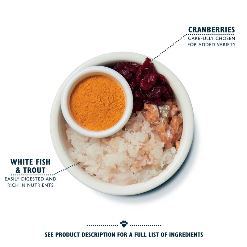 Lily's Kitchen Senior Recipe White Fish with Turkey & Trout Dry Cat Food