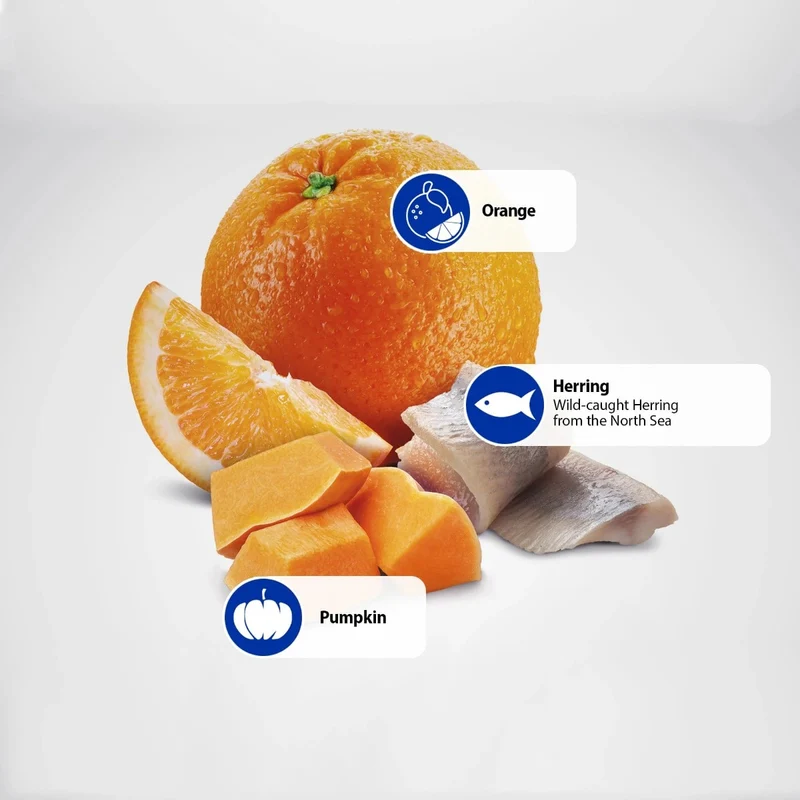 Farmina N&D Ocean Herring Pumpkin & Orange Adult Dry Cat Food