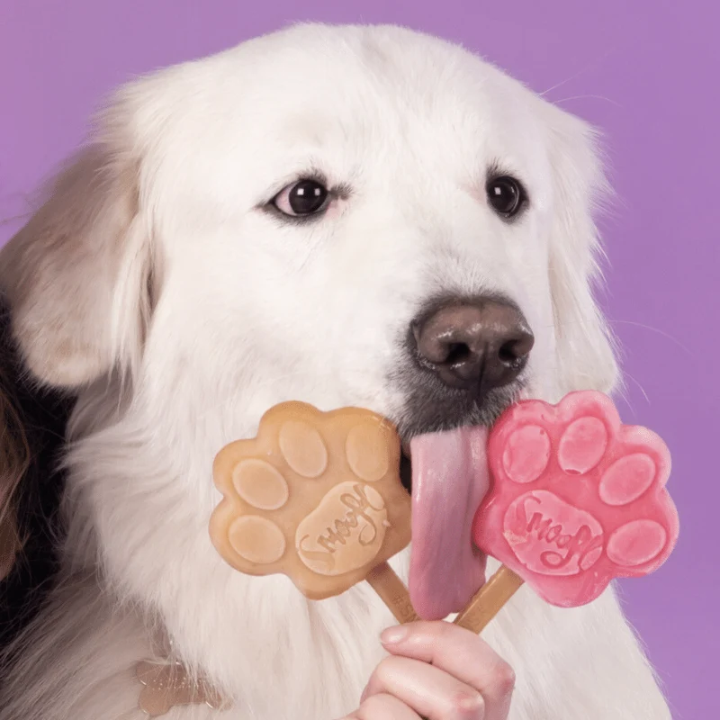 Smoofl Medium Starter Kit for Dog Ice Treats - 210G