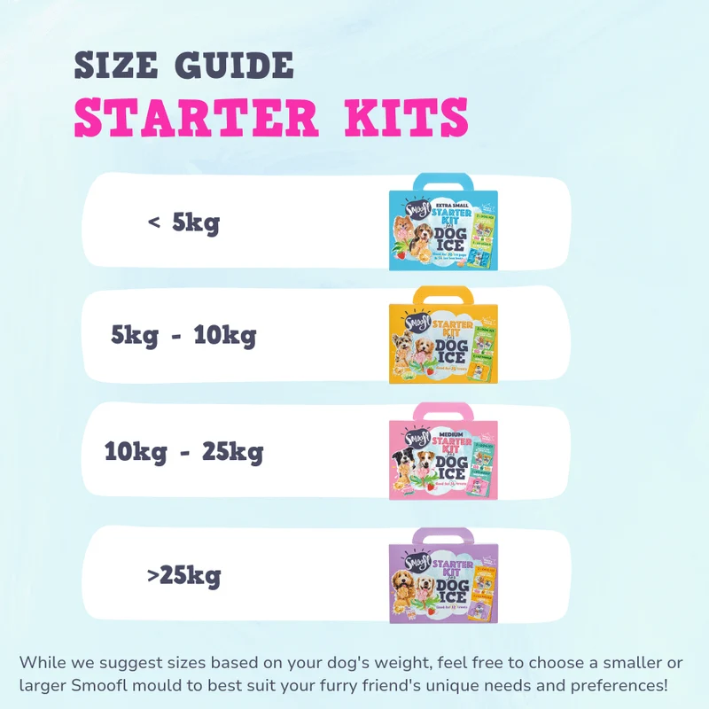 Smoofl Medium Starter Kit for Dog Ice Treats - 210G