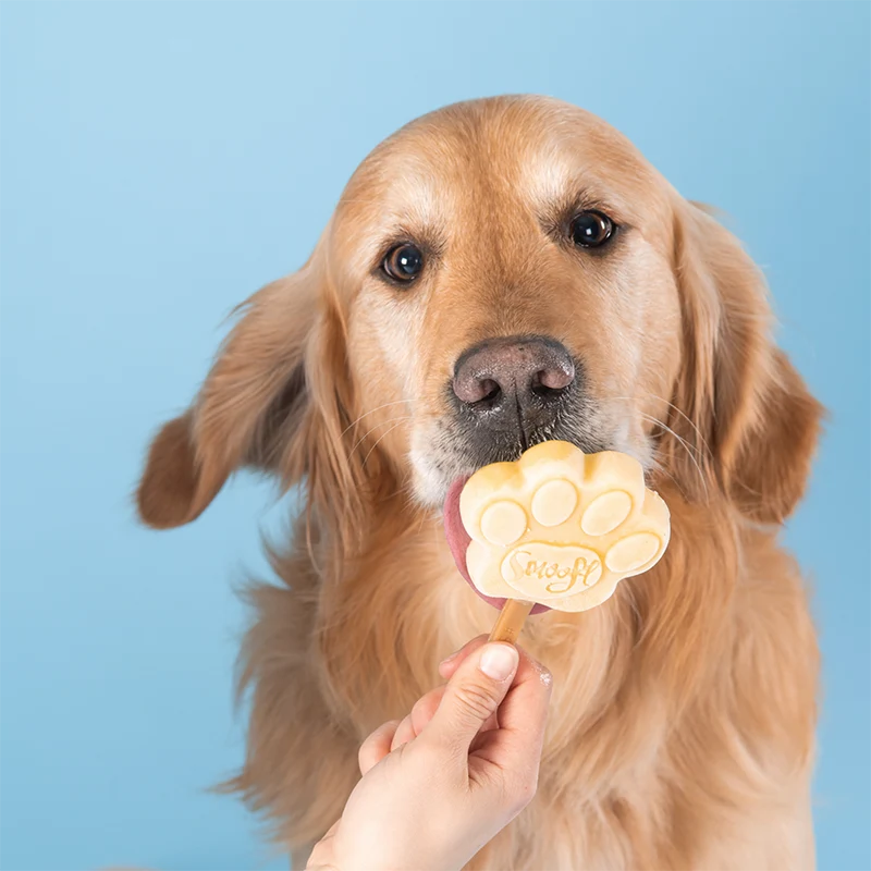 Smoofl Peanut Butter Mix for Dog Ice with 10pcs Chew Sticks - 105G