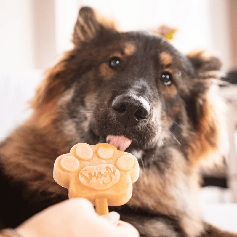 Smoofl Creamy Caramel Mix for Dog Ice with 10pcs Chew Sticks - 105G