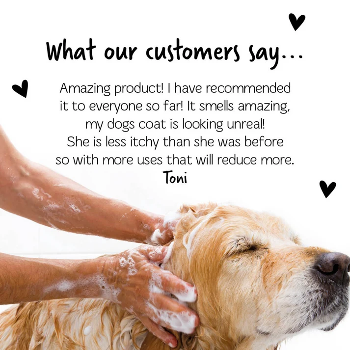 Bugalugs Medi Fresh Dog Shampoo With Tea Tree & Oatmeal 500ML