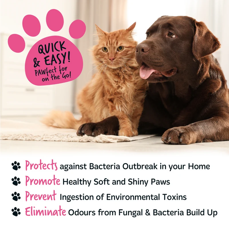 Bugalugs Baby Fresh No Rinse Paw Cleaner Foam 200ML