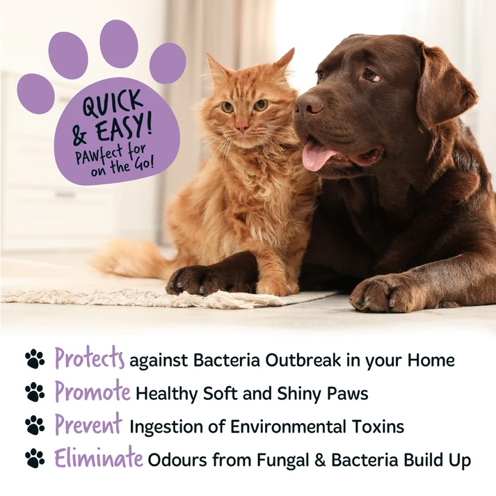 Bugalugs Lavender & Chamomile Paw Cleaner No Rinse Foam Shampoo - 200ML