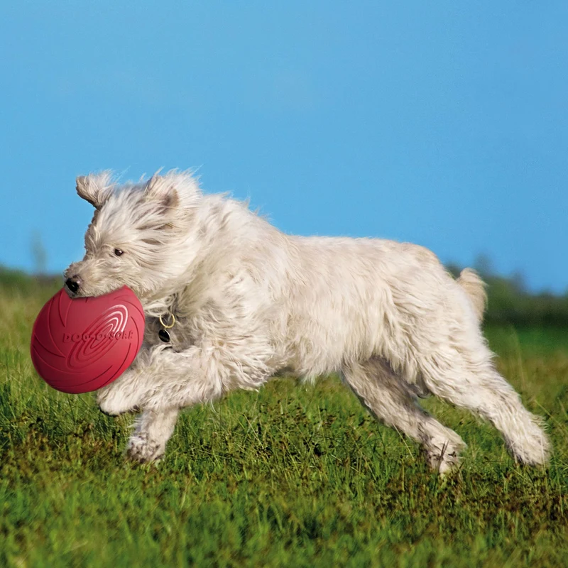 Trixie Dog Disc Hundefrisbee aus Gummi