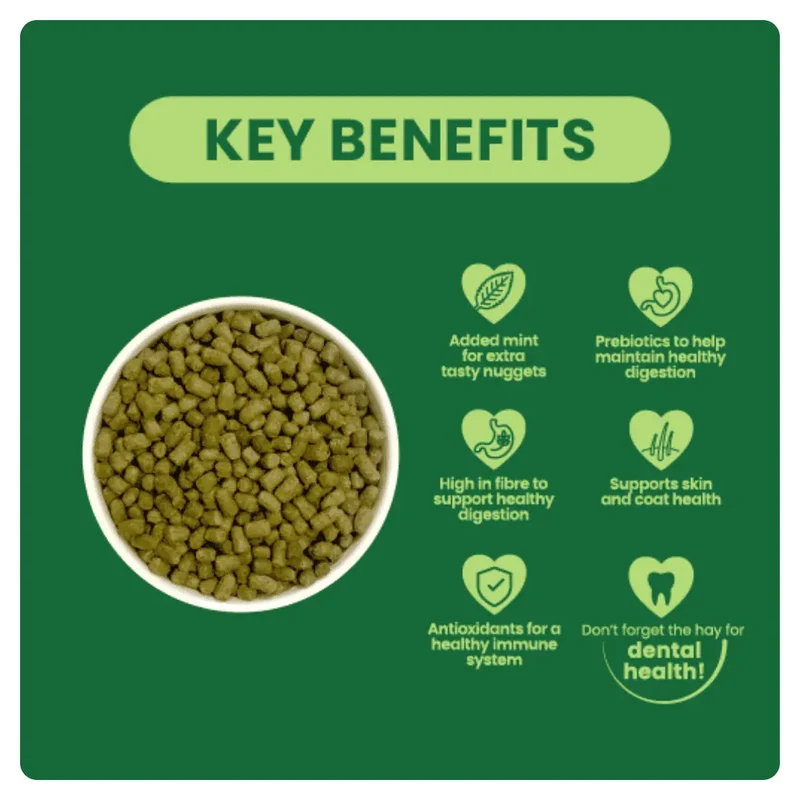 Burgess Excel Nuggets With Mint For Adult Rabbit 10KG