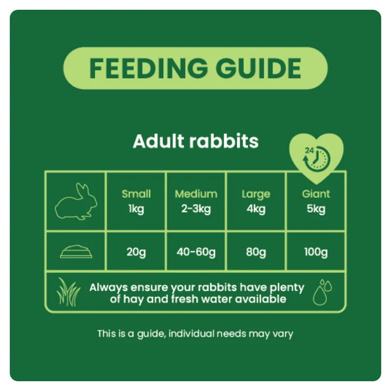 Burgess Excel Nuggets With Mint For Adult Rabbit 10KG