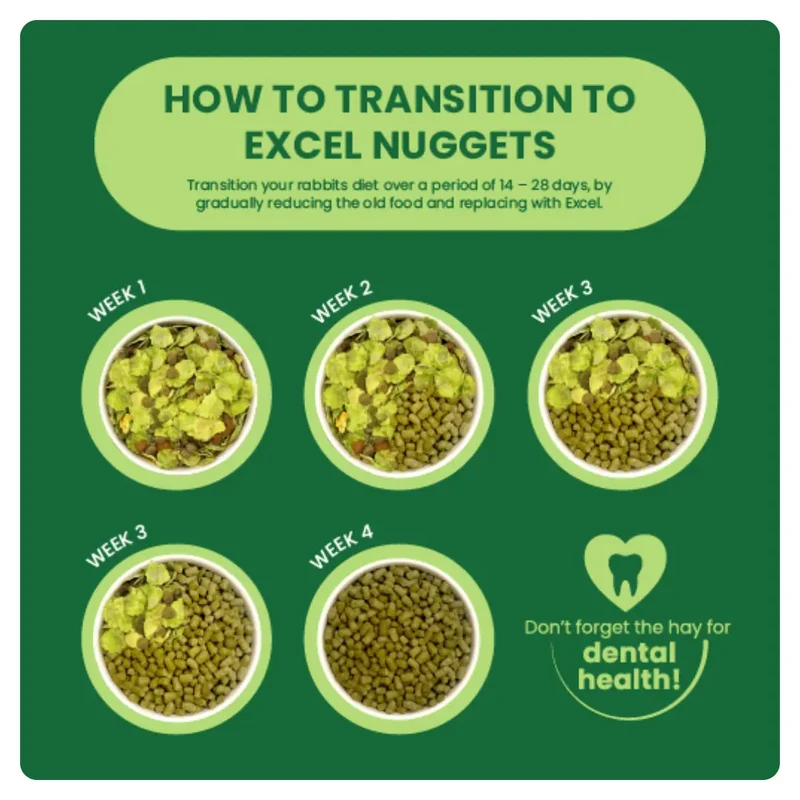 Burgess Excel Nuggets With Mint For Adult Rabbit 10KG