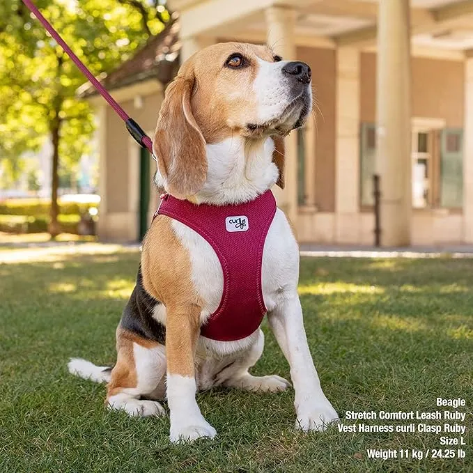 Curli Belka Air-Mesh Harness for Dogs - RED/XXXXL