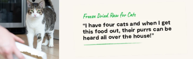 Open Farm Salmon & Cod Recipe Freeze Dried Raw Morsels for Cats 99G