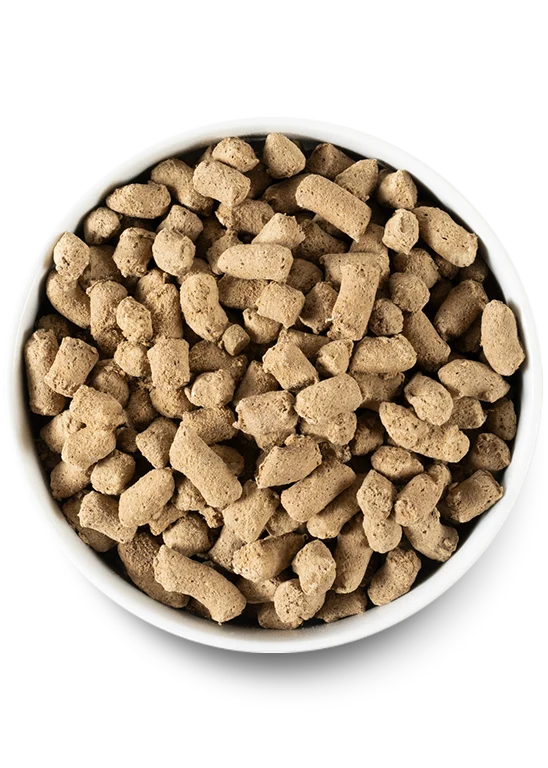 Open Farm Freeze Dried Surf & Turf Recipe Dry Dog Food 99G