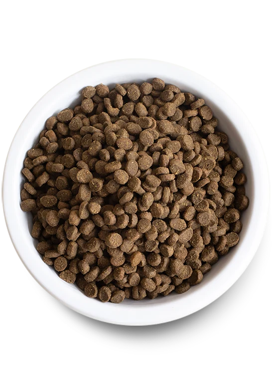 Open Farm Grain Free Kitten Recipe Dry Food 1.81KG