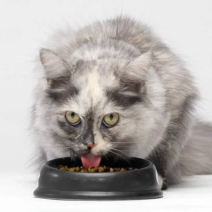 Open Farm Grain Free Kitten Recipe Dry Food 1.81KG