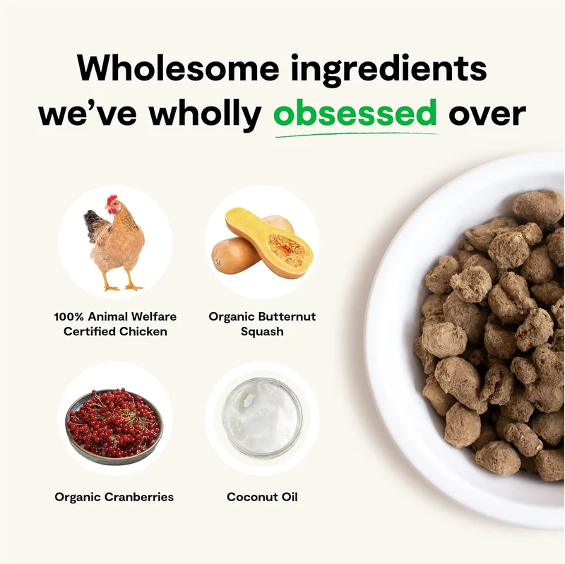 Open Farm Freeze Dried Harvest Chicken Recipe Dry Dog Food 99G