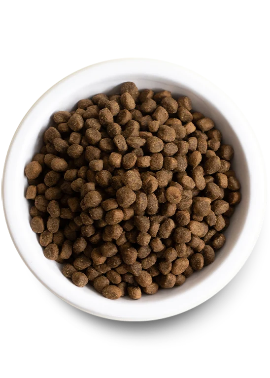 Open Farm Grain Free Small Breed Dry Dog Food