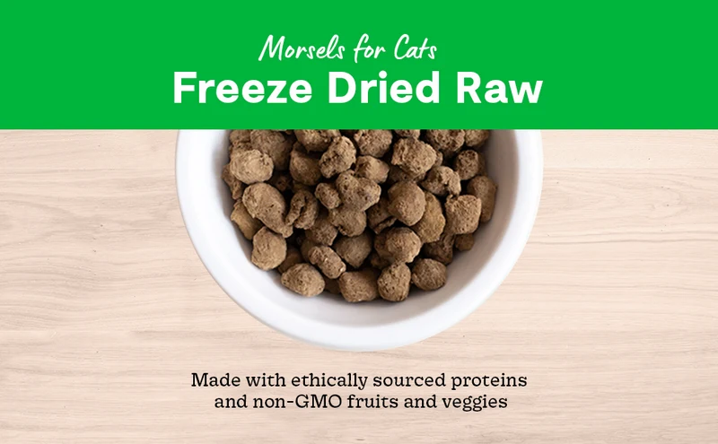 Open Farm Surf & Turf Freeze Dried Raw Cat Food 99G