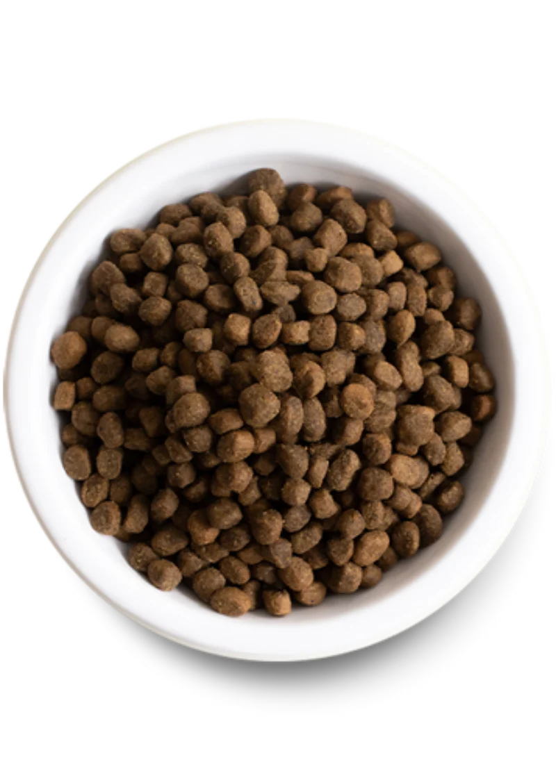 Open Farm Grain Free Grass-Fed Beef Dry Dog Food