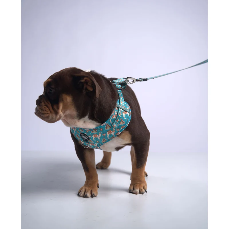 Bud & Billy Dog Harness Adjustable (XXS-XL) - Breathable Vest, Dunes Oasis Collection, Vibrant Blue
