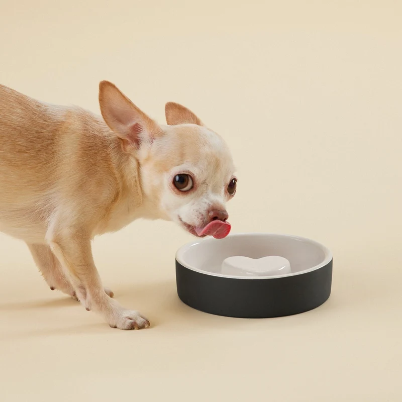 PAIKKA Slow Feed Bowl