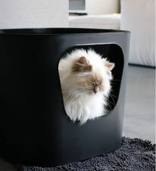 D&D Home I Love Happy Cats Dean Open Cat Toilet