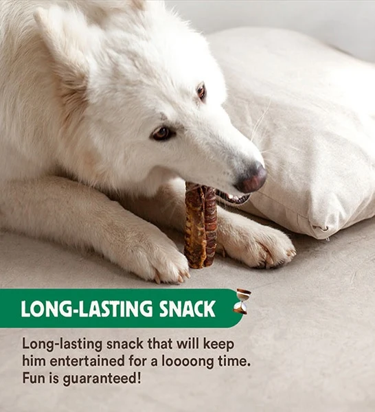 Wild Balance Natural Snack Beef Trachea for Dogs 100G