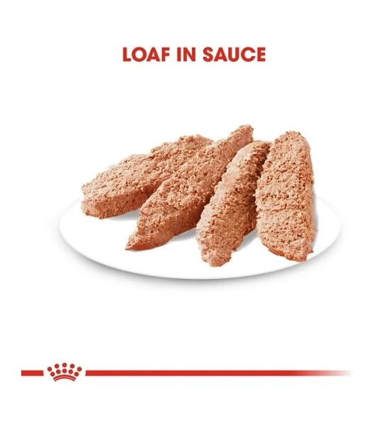 Royal Canin Light Weight Care Dog Wet Food 85G