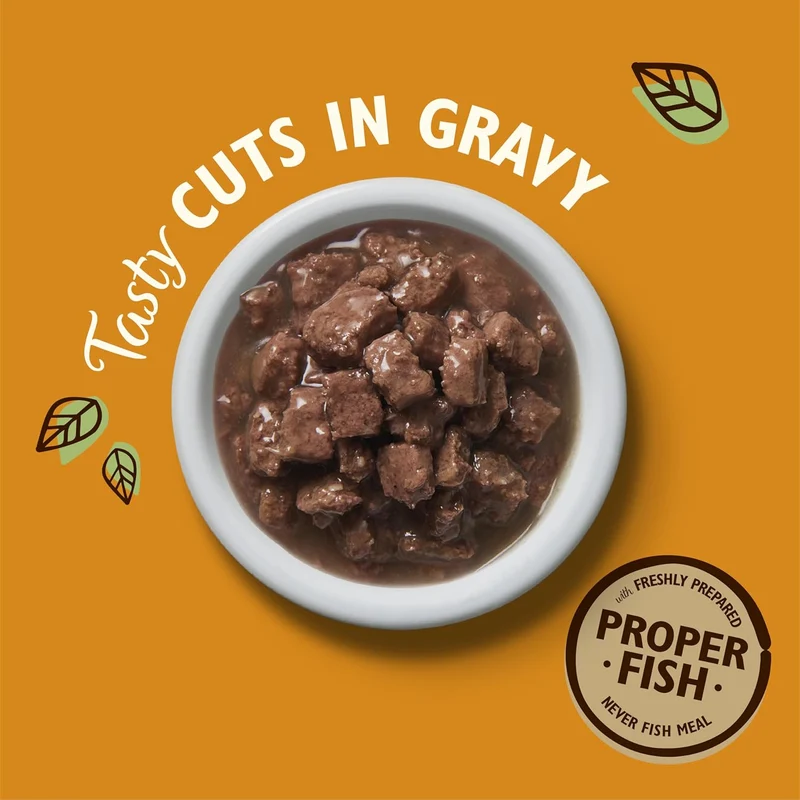 Lily's Kitchen Tasty Cuts Chicken & Ocean Fish Kitten Wet Food
