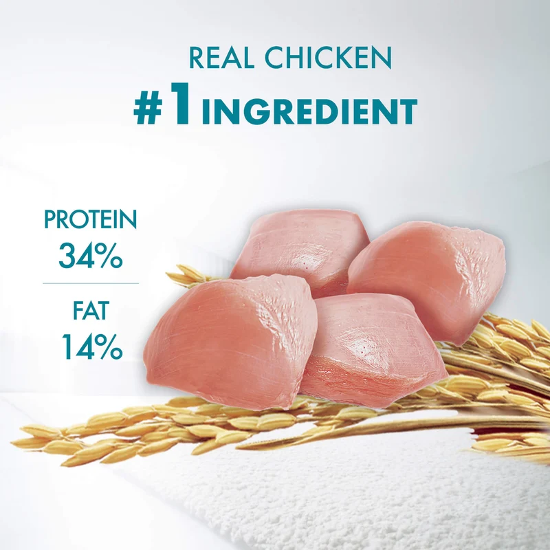 PURINA ONE Indoor Advantage Chicken Cat Dry Food