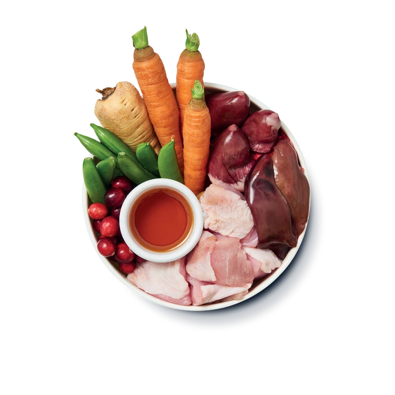 Lily's Kitchen Senior Recipe Dog Wet Food