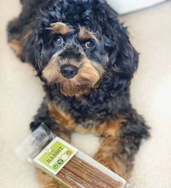 Jr Pet Products Pure Rabbit Sticks Dog Treats 50G