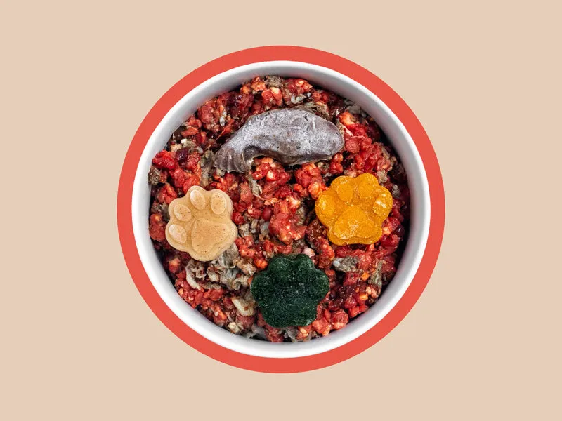 The K9 Kitchen Beef Raw Complete Dog Food